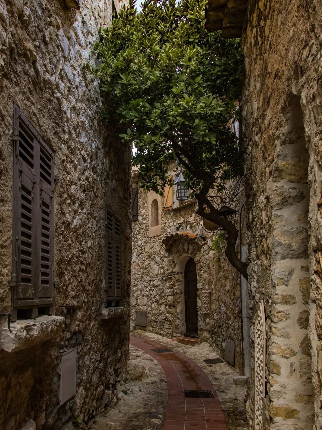 Une ruelle de pierre d’Èze village, ses façades et ses volets de bois sous un olivier, le pavé qui monte vers une porte voûtée