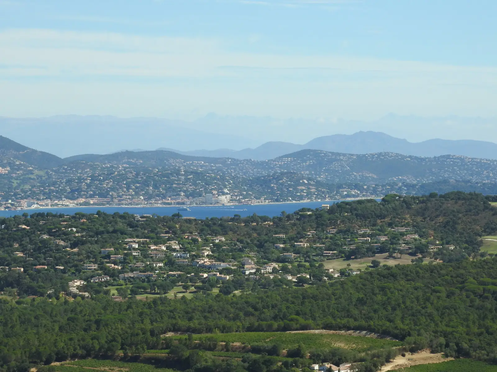 Le golfe de Saint-Tropez vu des hauteurs de Gassin, la pinède et les vignes au premier plan, les collines des Maures au loin