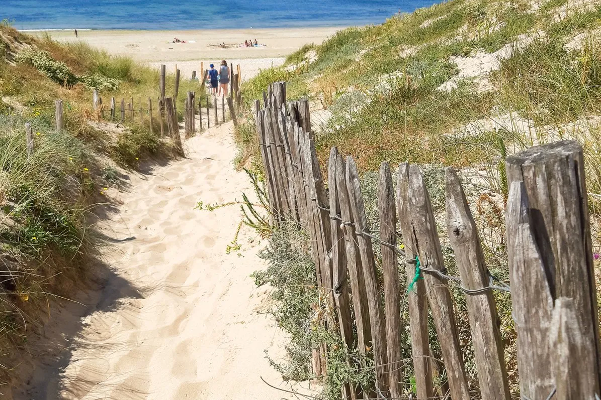 Um caminho de areia até à praia, entre as cercas das dunas, na ilha de Ré