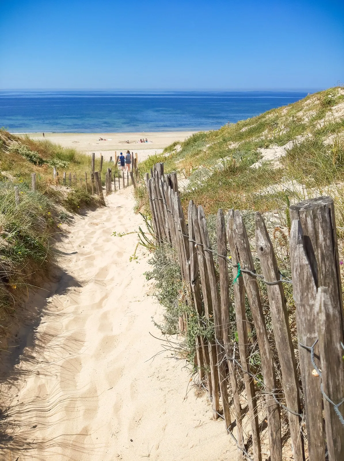 Un chemin de sable vers la plage, entre les ganivelles, sur l'île de Ré