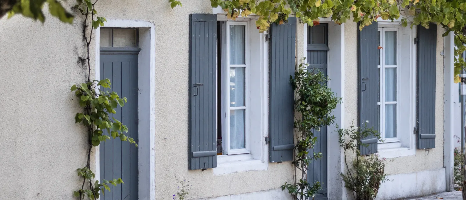 Une maison rétaise aux volets gris, sous la vigne vierge
