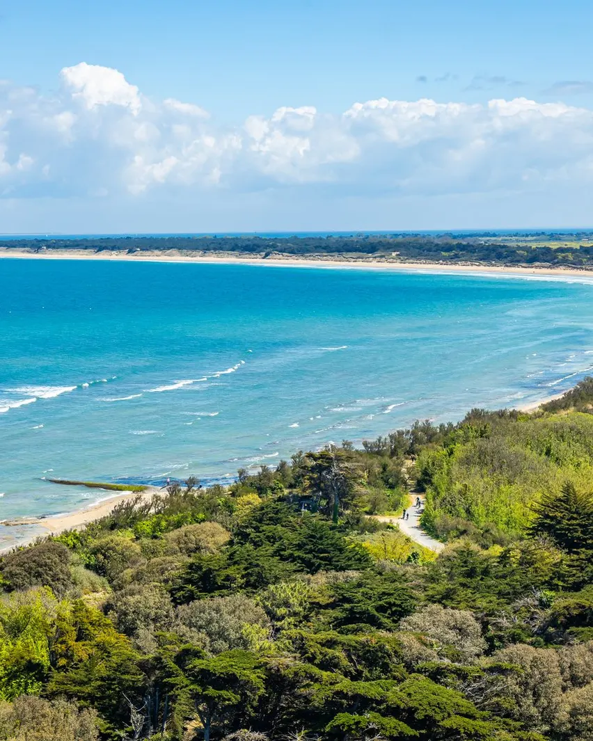A praia da Conche des Baleines e a sua floresta, na costa norte da ilha de Ré, vistas do alto