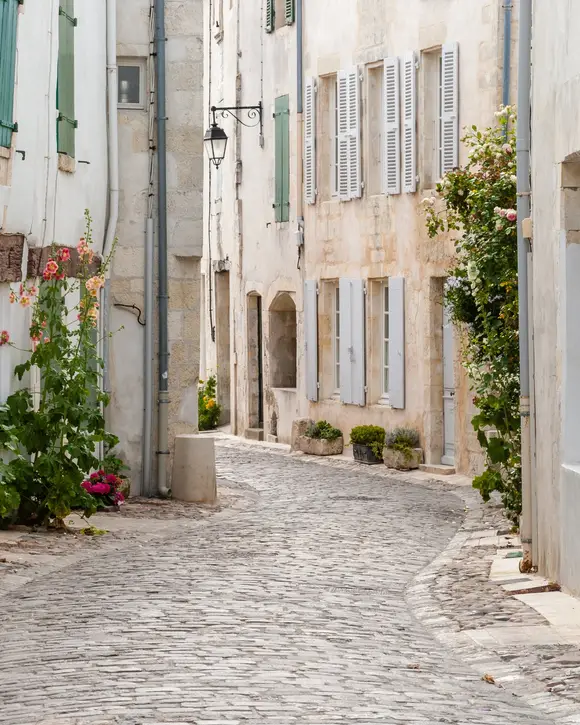A cobbled lane on the Île de Ré, white houses with green shutters and hollyhocks