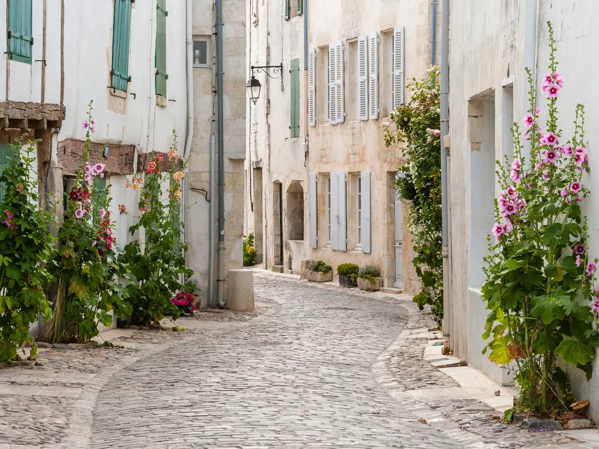 Une ruelle pavée de l’île de Ré, maisons blanches à volets verts et roses trémières