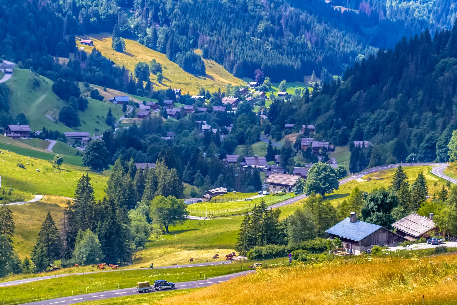 The La Clusaz valley seen from the Col des Aravis, its chalets in the meadows and the spruce forests