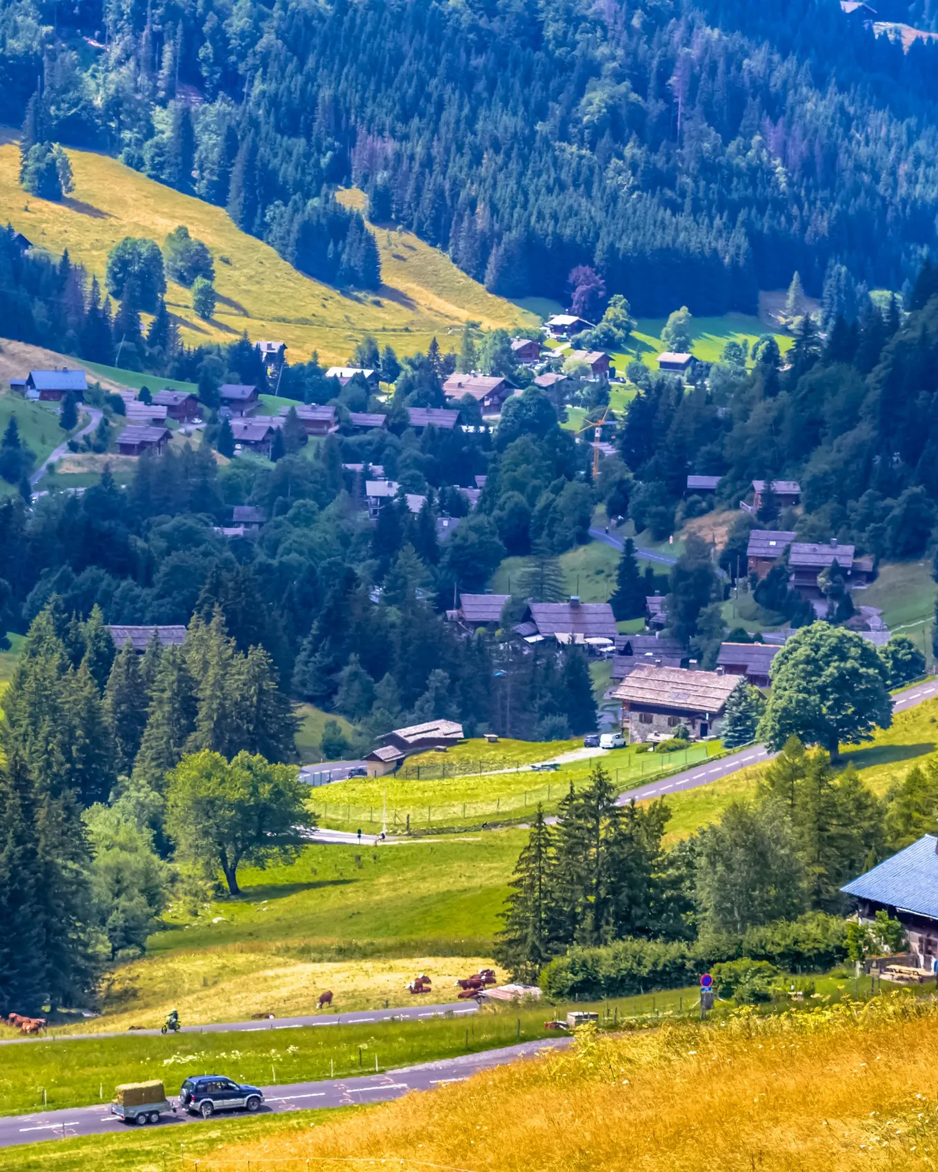 The La Clusaz valley seen from the Col des Aravis, its chalets in the meadows and the spruce forests