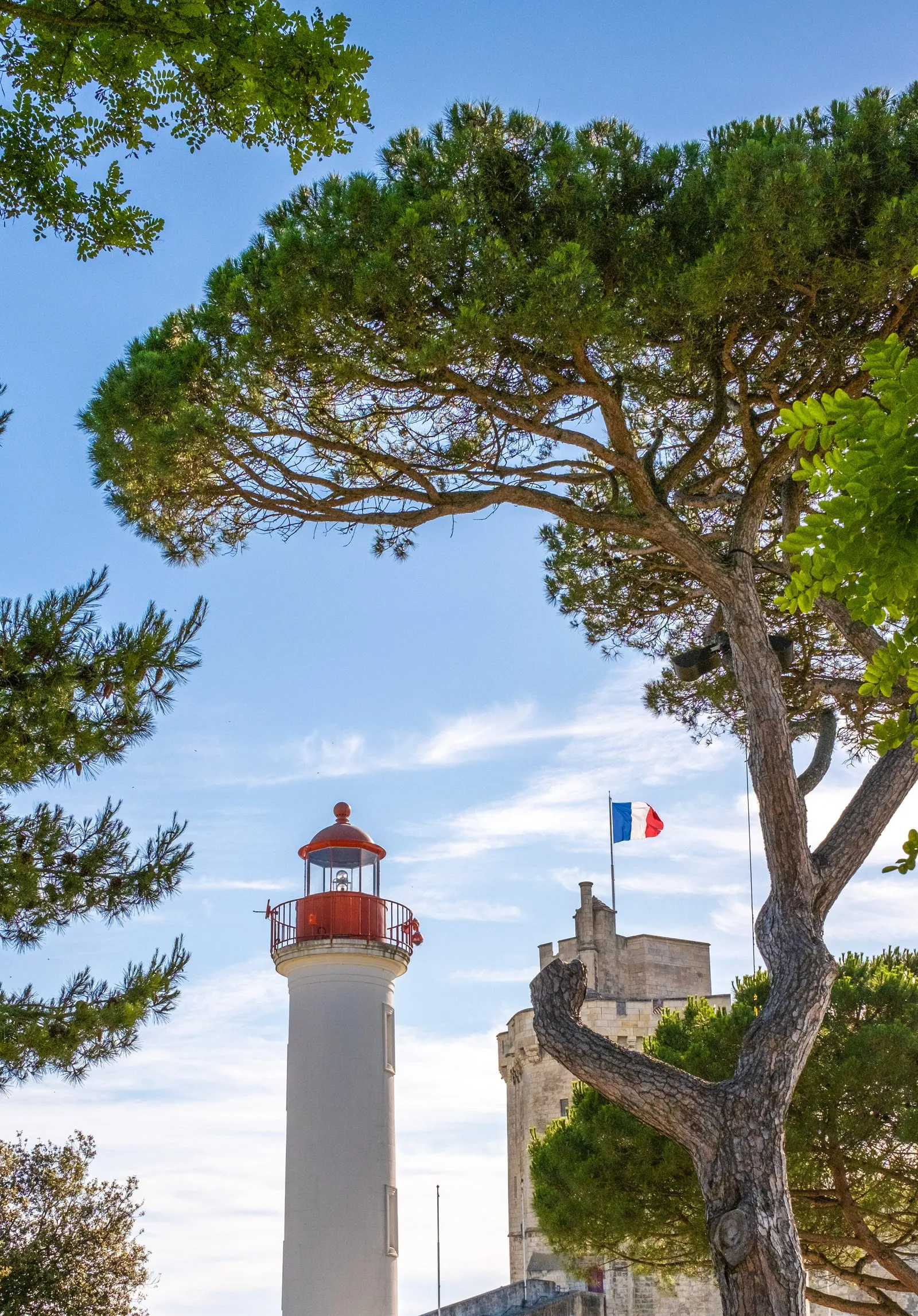Le phare du quai Valin et la tour de la Chaîne entre les pins, à La Rochelle