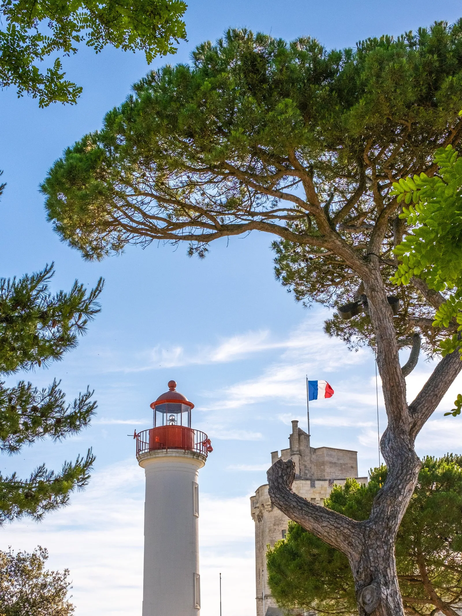 O farol do cais Valin e a torre da Chaîne entre os pinheiros, em La Rochelle