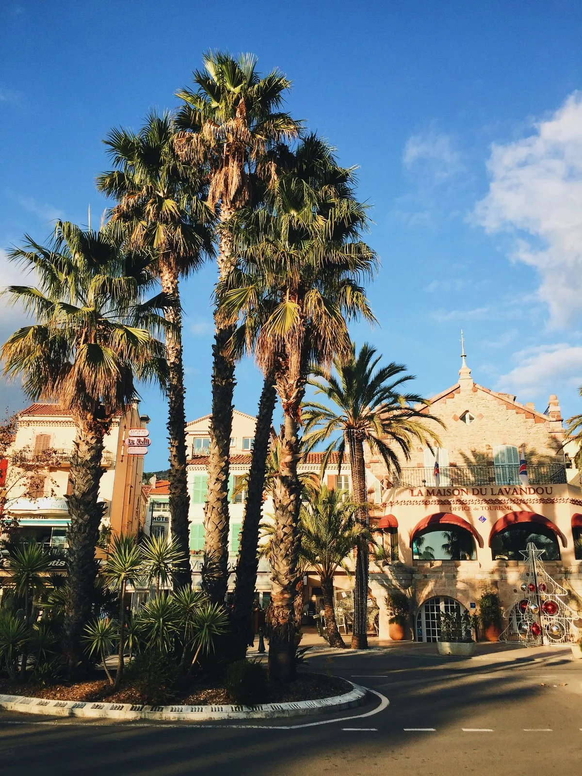Les palmiers du centre du Lavandou devant une façade à arcades, sous le ciel bleu