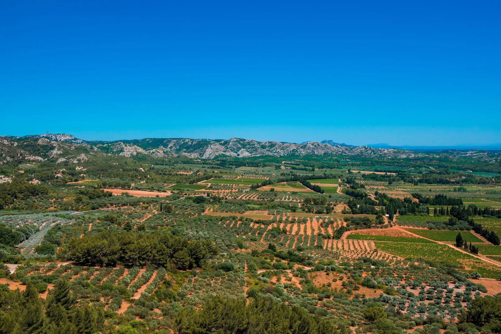 Os olivais, as vinhas e a terra vermelha da planície perto de Les Baux-de-Provence, com algumas quintas e, ao fundo, a cadeia calcária dos Alpilles sob um céu azul