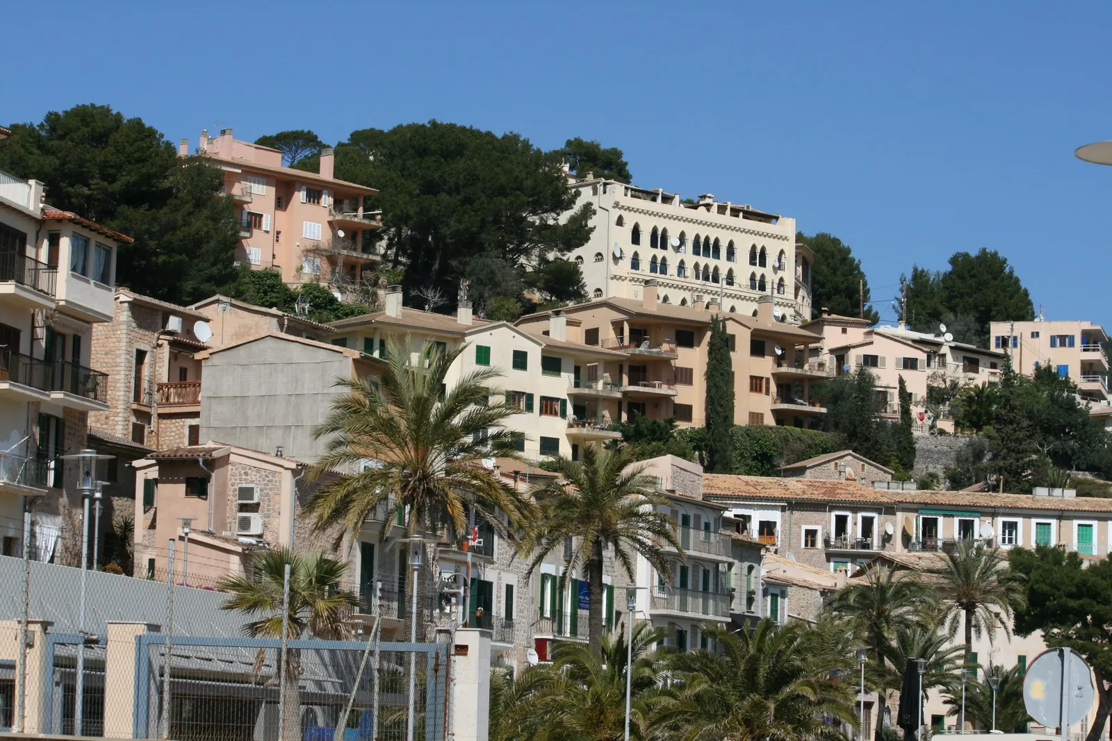 Buildings and palm trees on a hillside