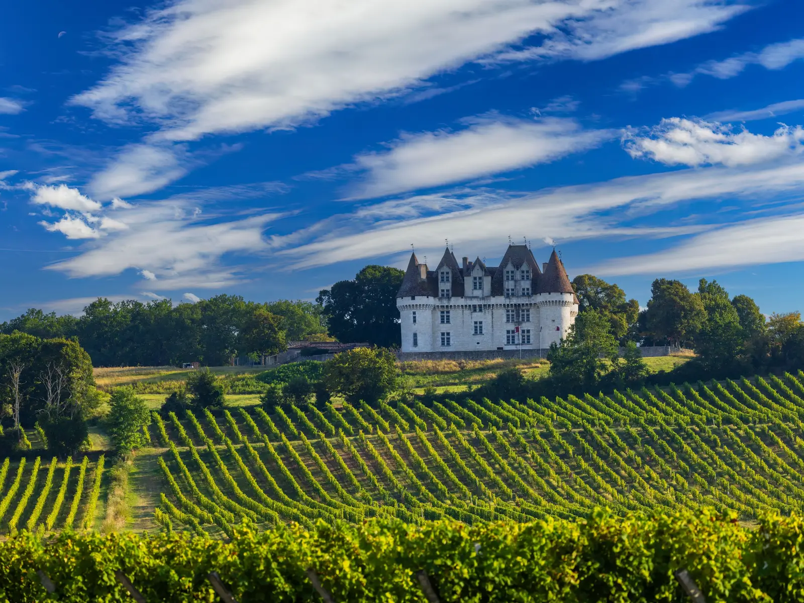O castelo branco de Monbazillac, com as suas quatro torres redondas cobertas de ardósia, no meio das fileiras de vinha, sob um céu azul profundo riscado de nuvens