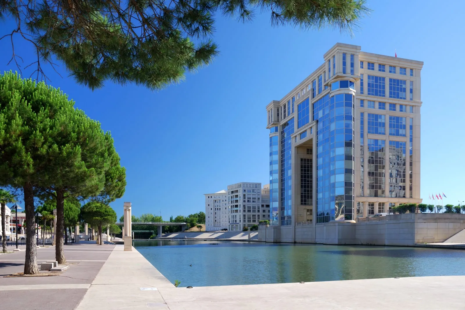 A glass building beside a pool of water, beneath the pines