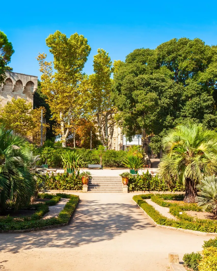 Un jardin aux allées bordées de palmiers