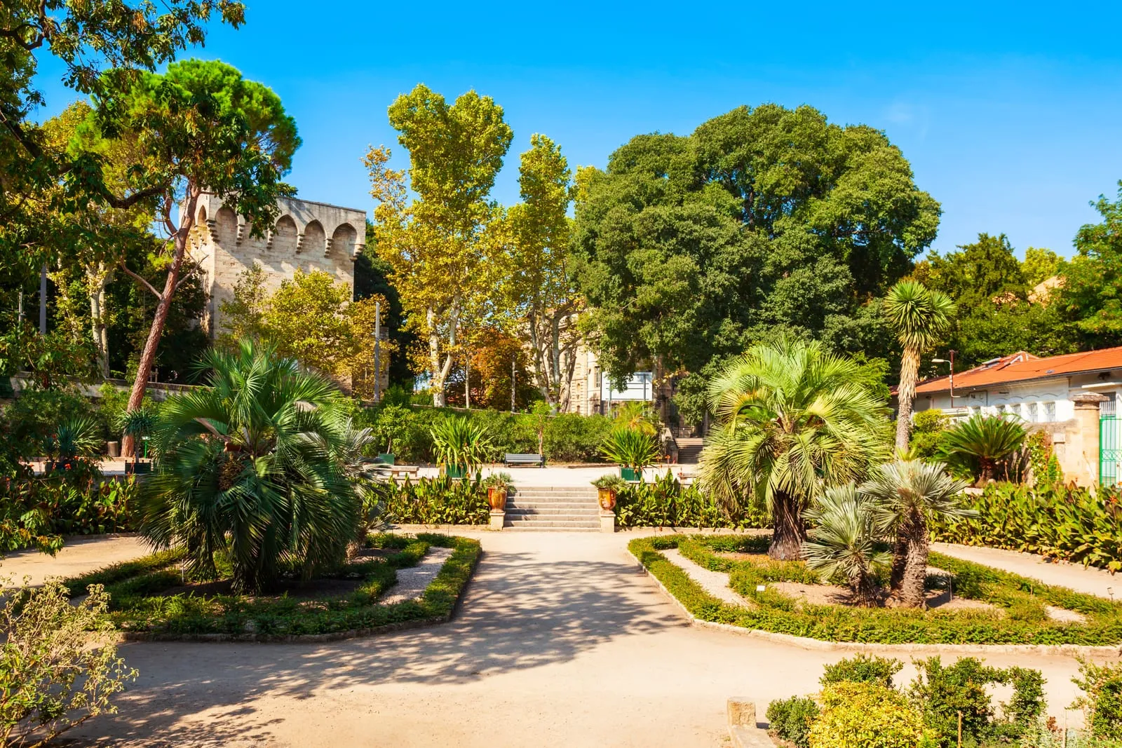 Un jardin aux allées bordées de palmiers