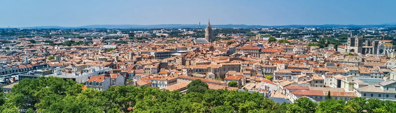 Les toits de la ville vus des hauteurs, au-dessus des arbres