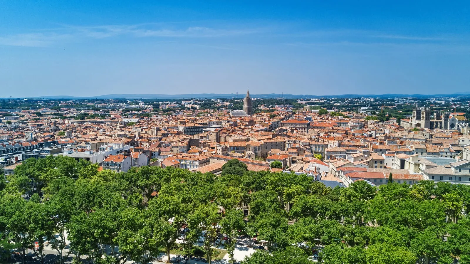 Les toits de la ville vus des hauteurs, au-dessus des arbres