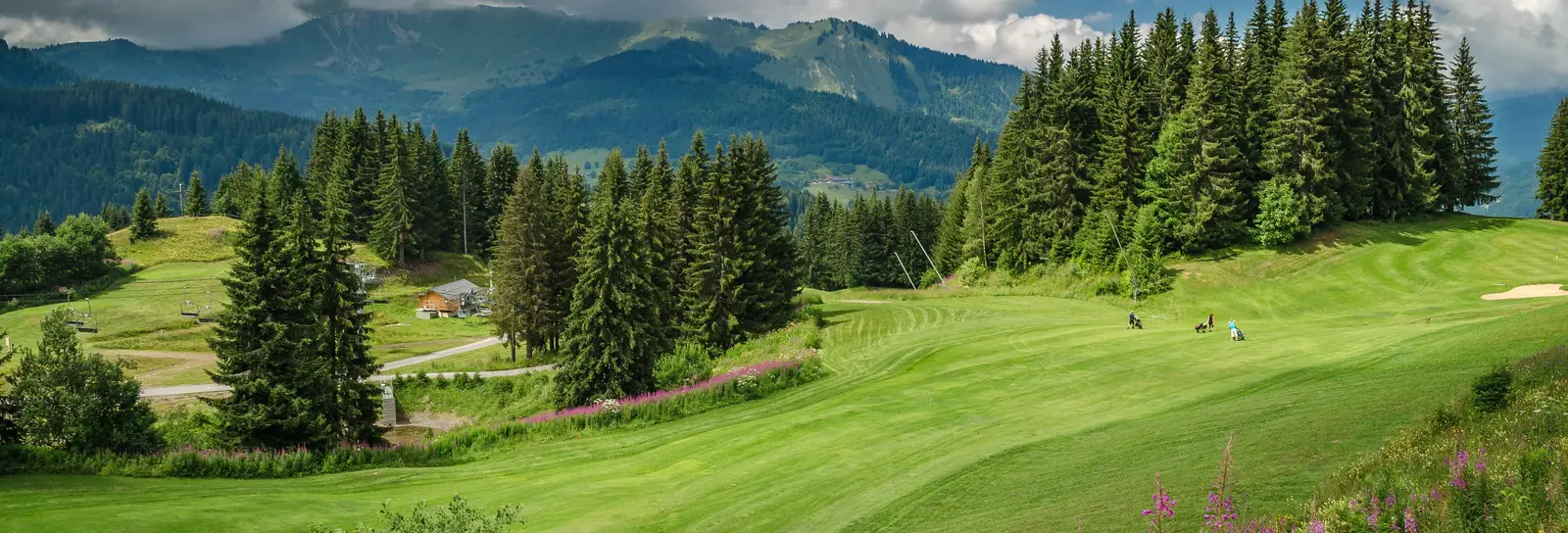 The Morzine-Avoriaz golf course in the alpine pastures, among fir trees and fireweed