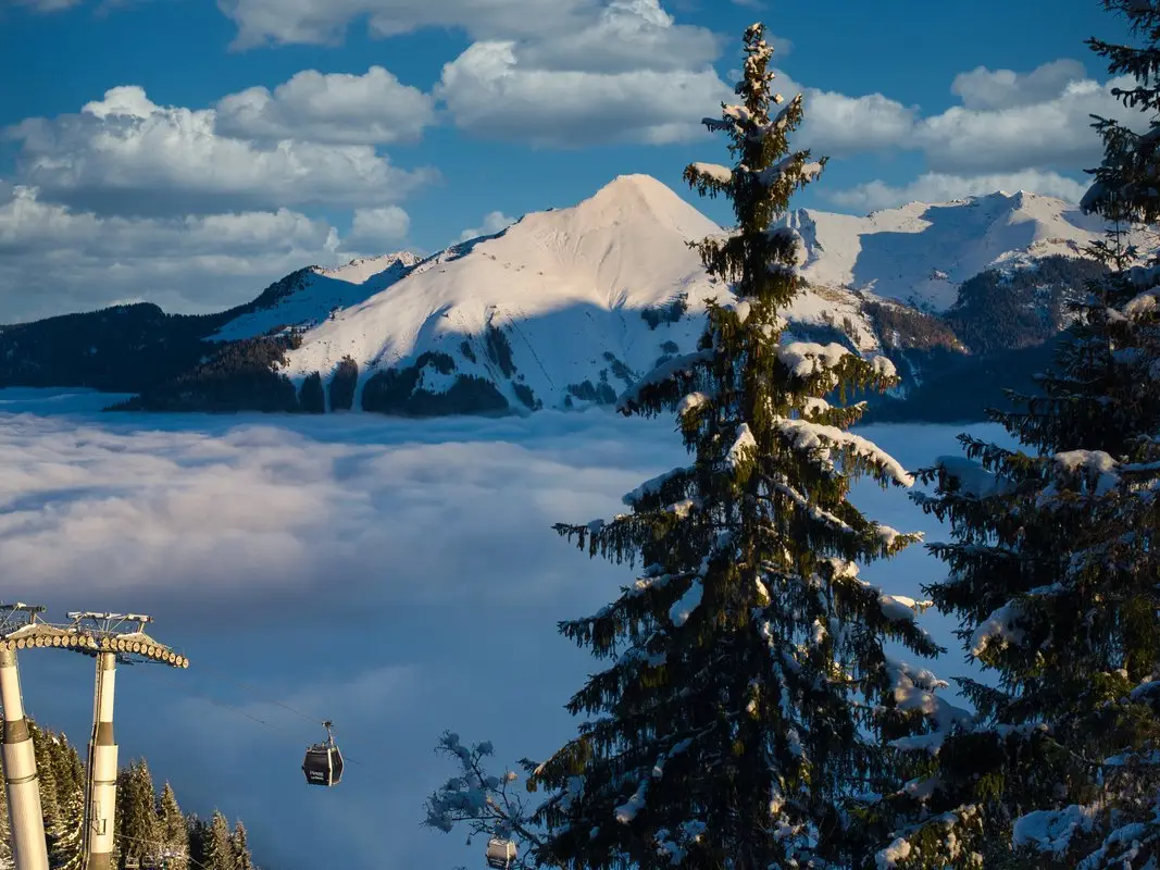 Um abeto coberto de neve acima de Morzine no inverno, os pilares de um teleférico e o mar de nuvens diante dos cumes