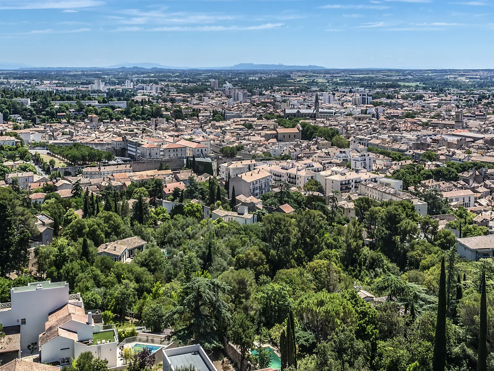 Nîmes vue des hauteurs, ses toits jusqu’à la plaine, les pins et les cyprès des collines au premier plan