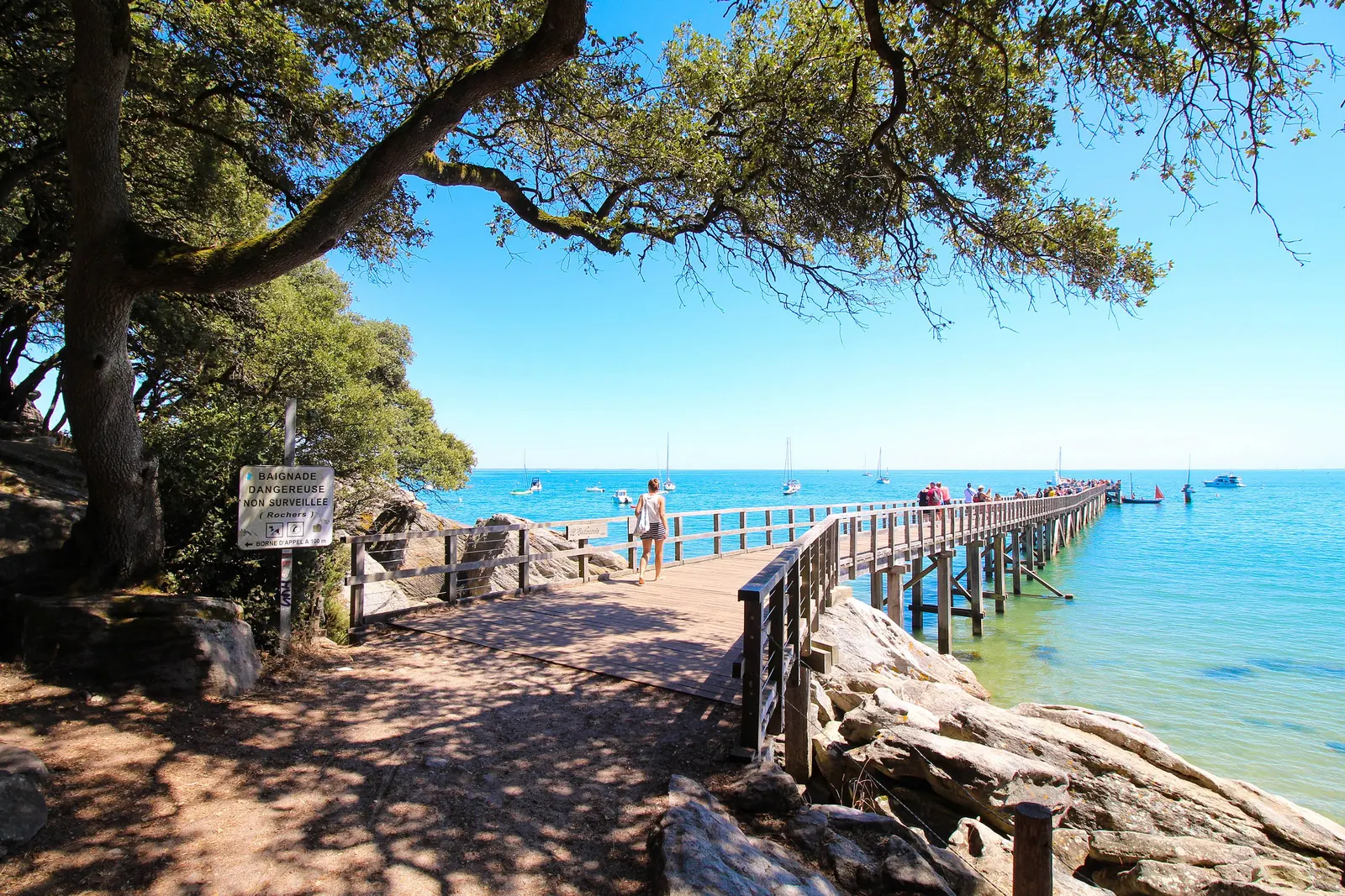 The jetty of the Plage des Dames beneath the holm oaks of the Bois de la Chaize