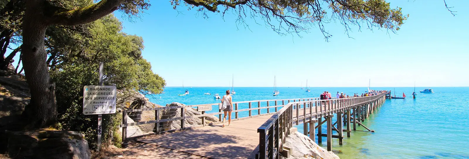 L’estacade de la plage des Dames sous les chênes verts du bois de la Chaize