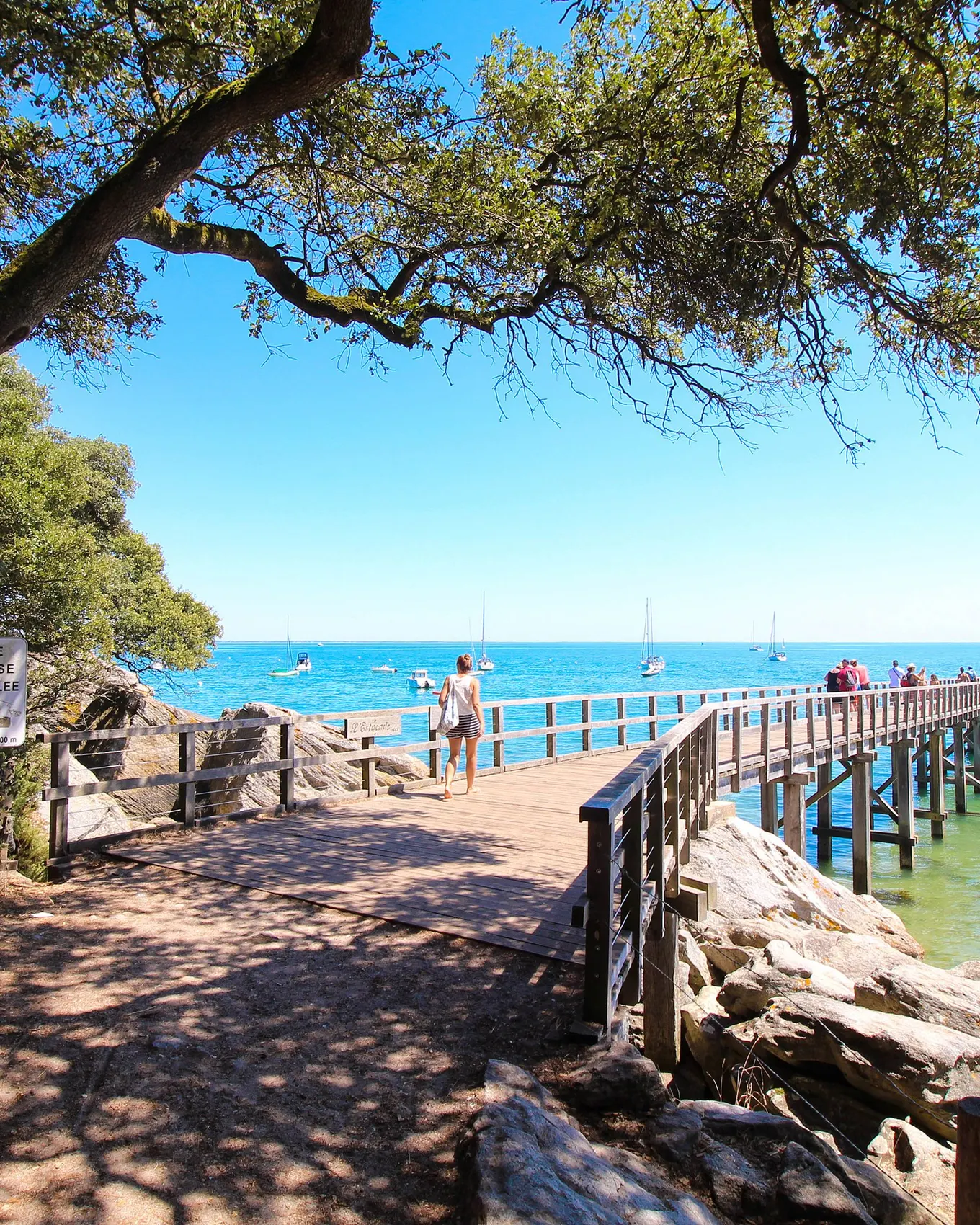 L’estacade de la plage des Dames sous les chênes verts du bois de la Chaize