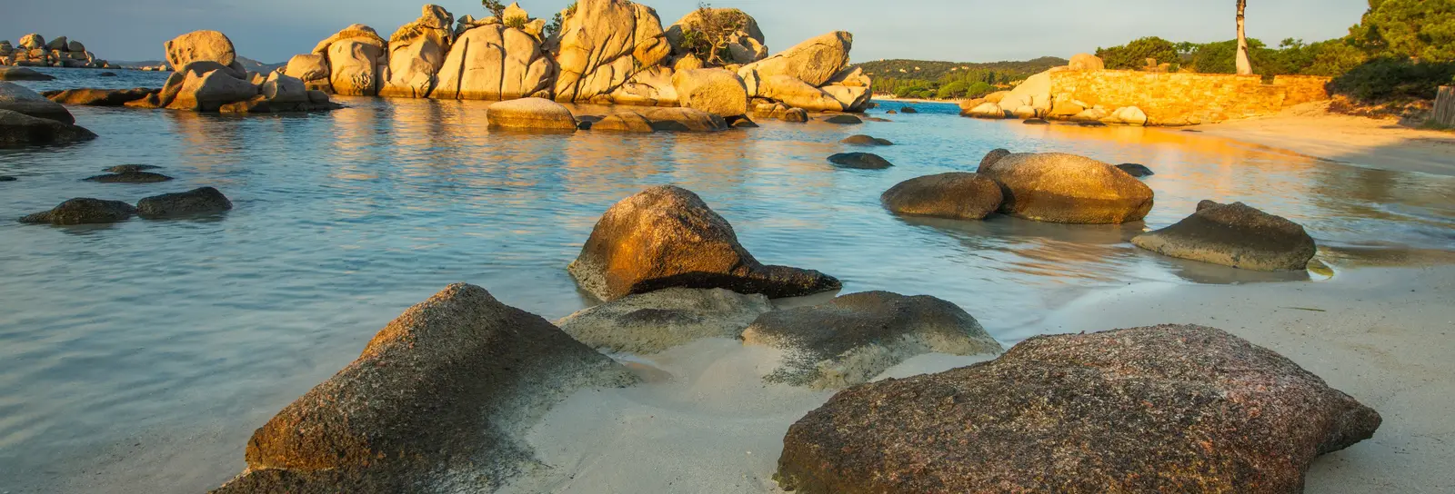 La plage de Palombaggia dans une lumière dorée, ses rochers de granit et un pin seul sur la dune