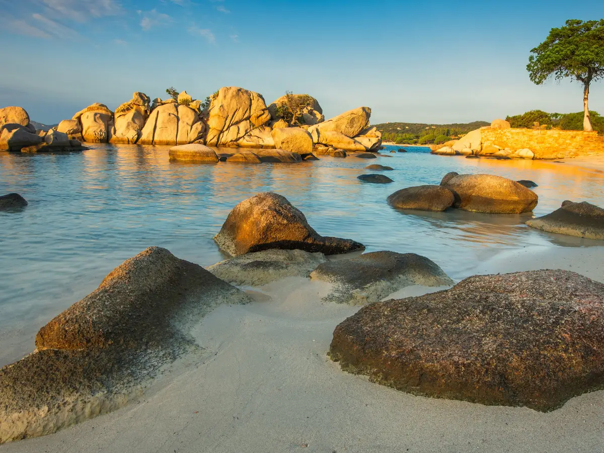 Palombaggia beach in golden light, its granite rocks and a lone pine on the dune