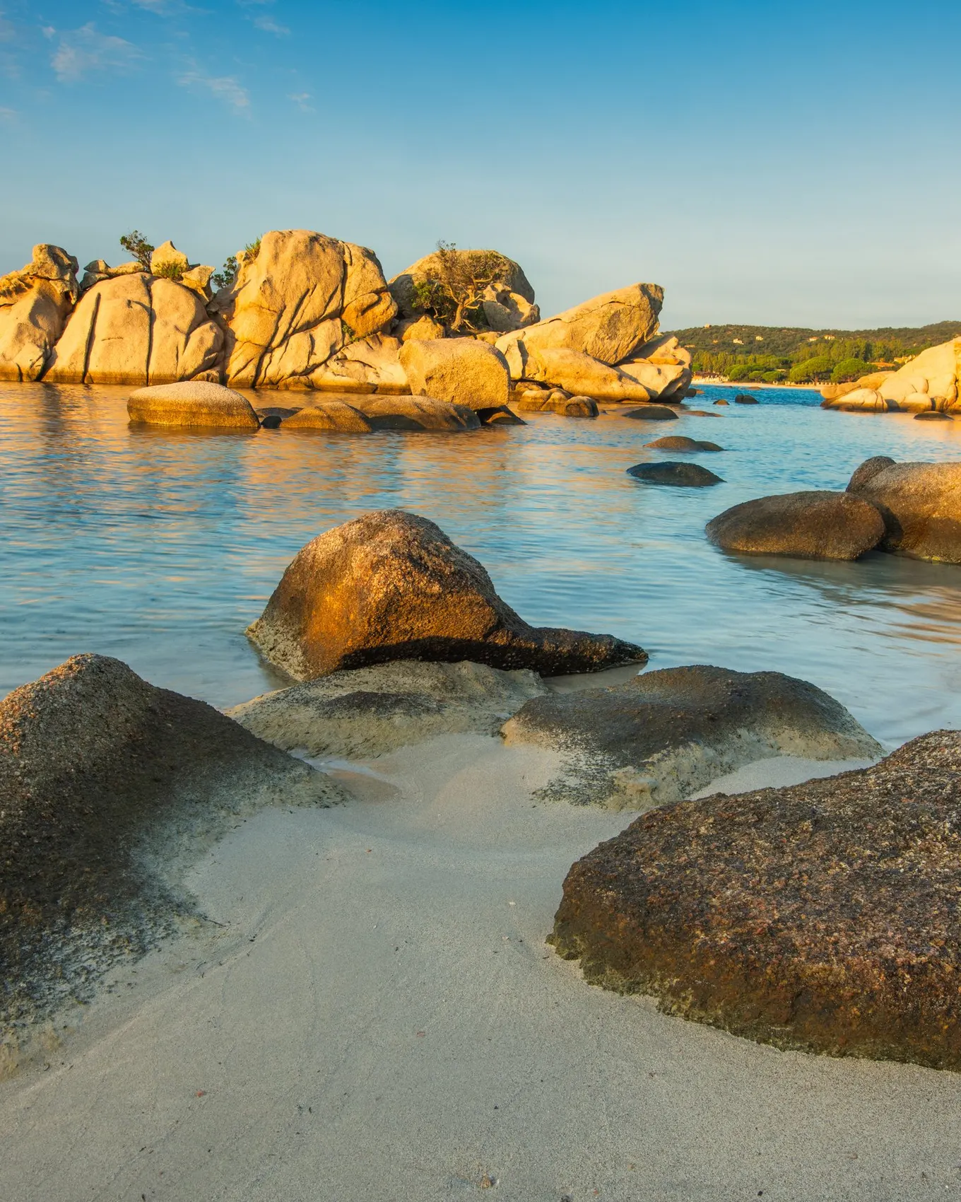 La plage de Palombaggia dans une lumière dorée, ses rochers de granit et un pin seul sur la dune