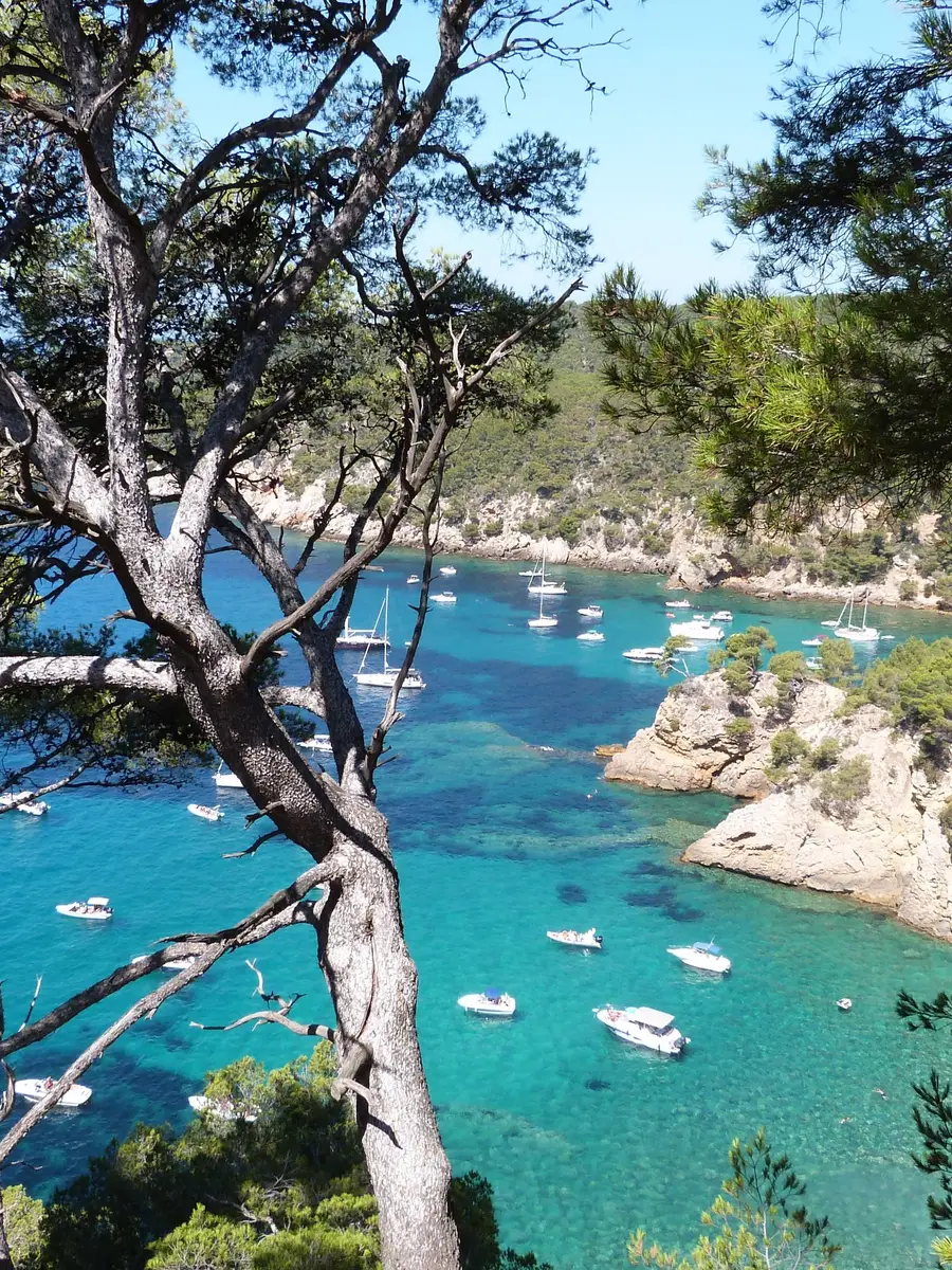La calanque du Port d’Alon à Saint-Cyr-sur-Mer et ses bateaux au mouillage, vue à travers les pins