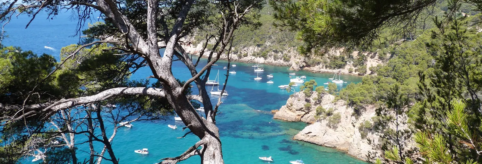 The Port d’Alon calanque in Saint-Cyr-sur-Mer and its boats at anchor, seen through the pines