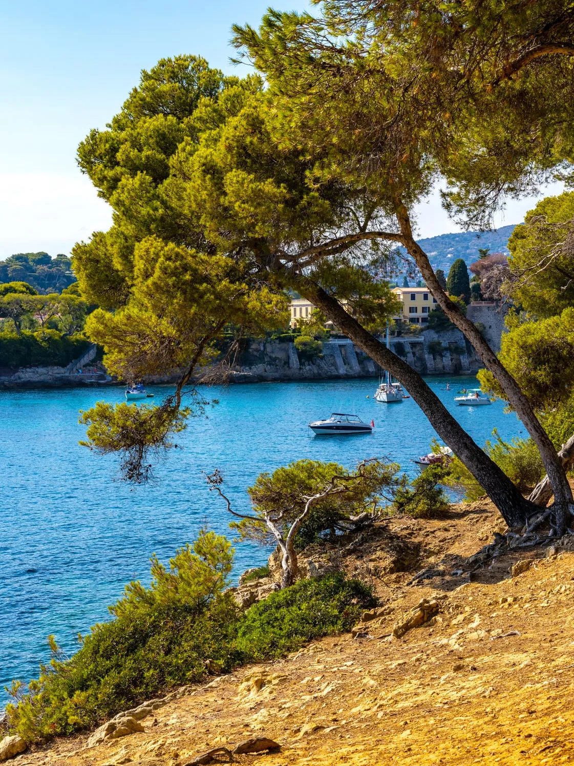 Des pins au-dessus d’une crique turquoise, des bateaux au mouillage