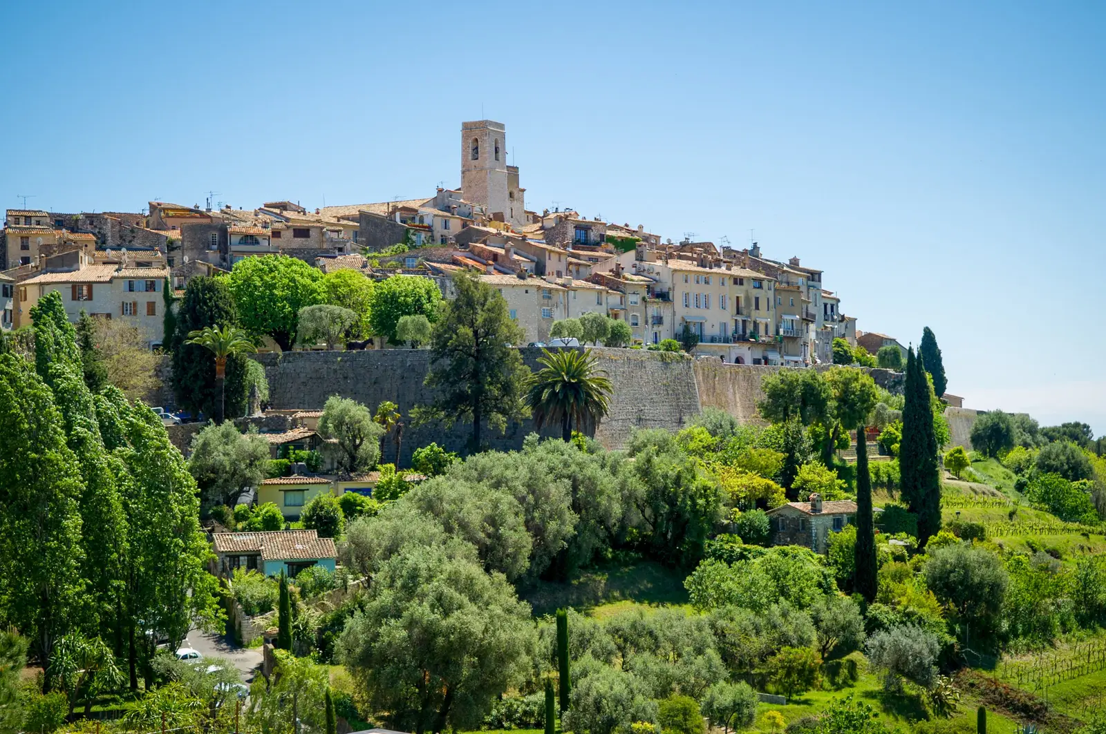 Saint-Paul-de-Vence on its hill: the ramparts, the bell tower and the village above olive trees and cypresses