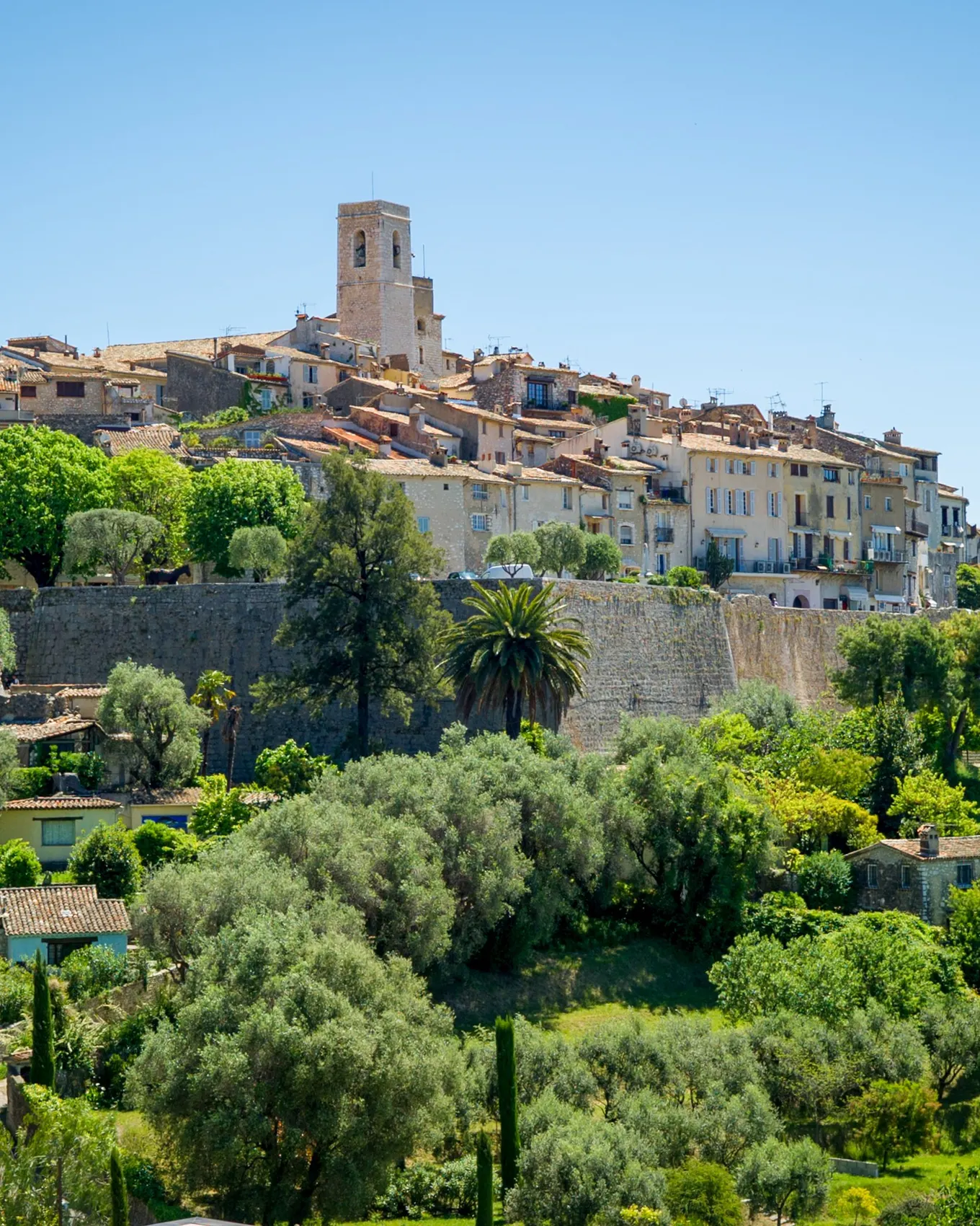 Saint-Paul-de-Vence on its hill: the ramparts, the bell tower and the village above olive trees and cypresses