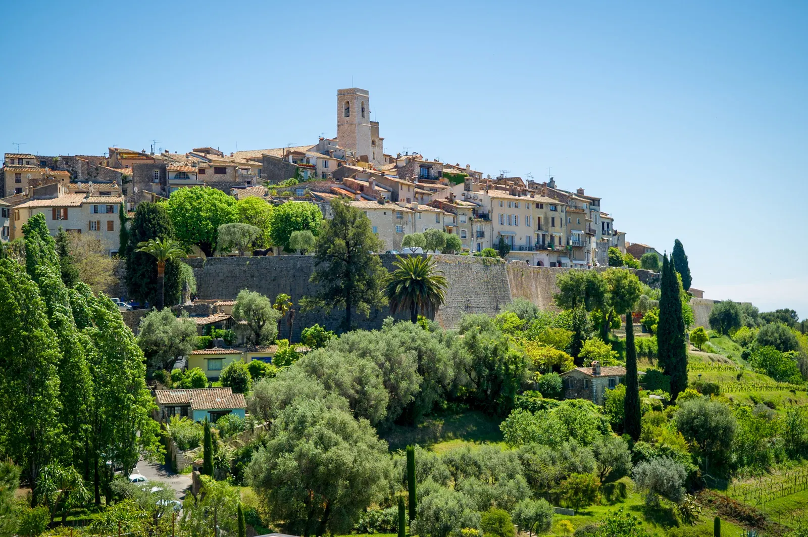 Saint-Paul-de-Vence on its hill: the ramparts, the bell tower and the village above olive trees and cypresses