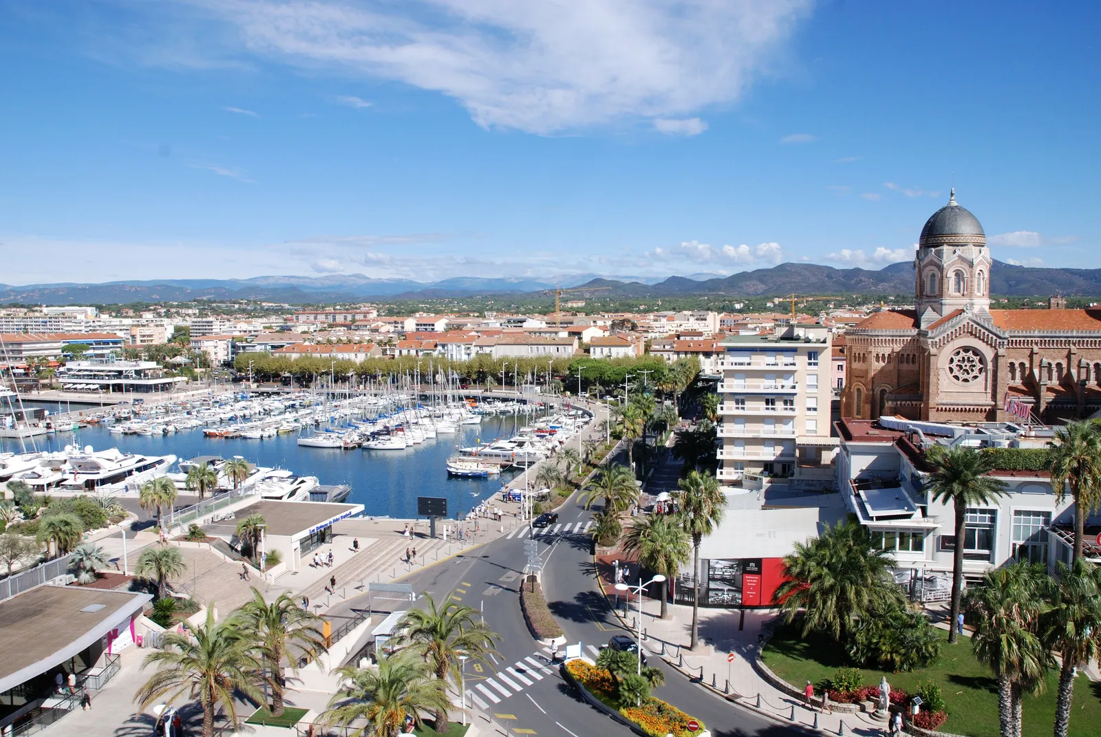Le Vieux-Port, ses palmiers et la basilique Notre-Dame-de-la-Victoire, les collines au fond