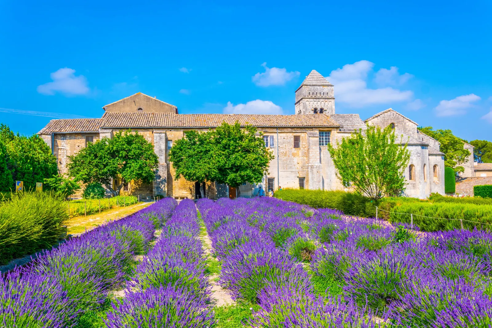 The Saint-Paul-de-Mausole monastery in Saint-Rémy-de-Provence and its field of lavender in bloom, under a blue sky
