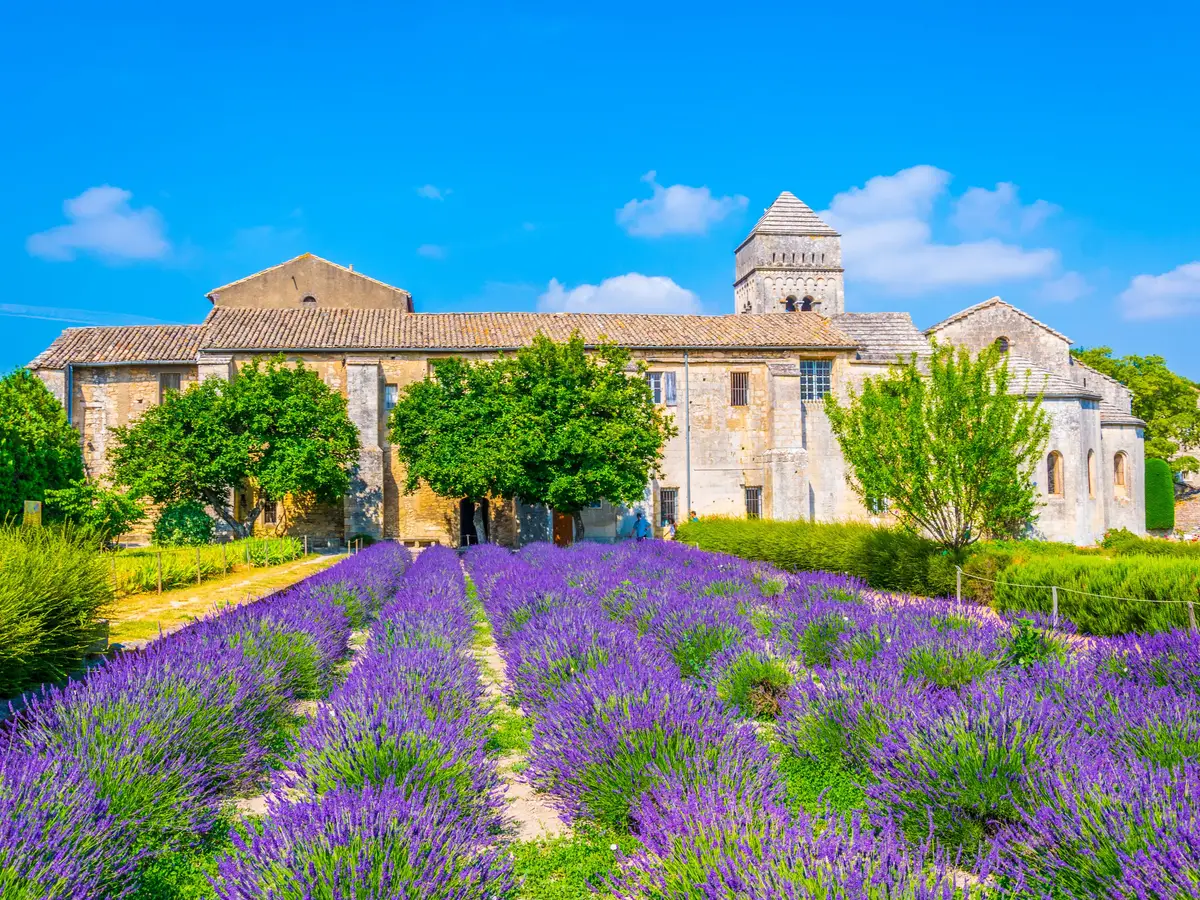 Le monastère Saint-Paul-de-Mausole à Saint-Rémy-de-Provence et son champ de lavande en fleur, sous le ciel bleu