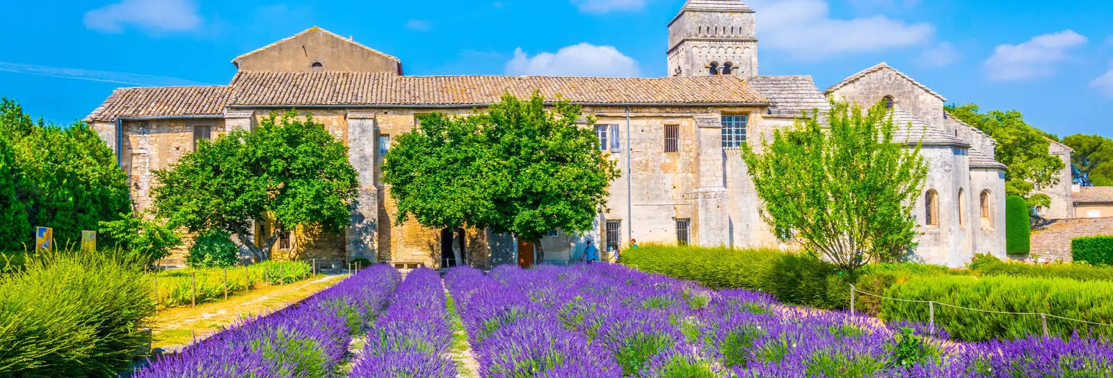Le monastère Saint-Paul-de-Mausole à Saint-Rémy-de-Provence et son champ de lavande en fleur, sous le ciel bleu