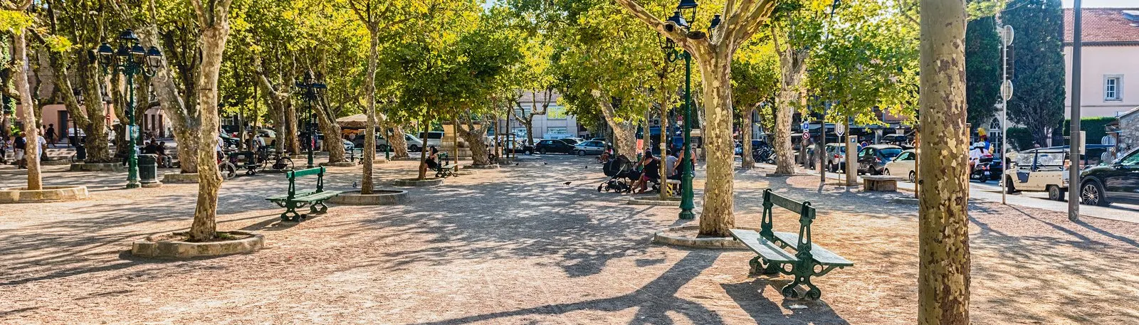 The place des Lices and its plane trees, benches in the shade