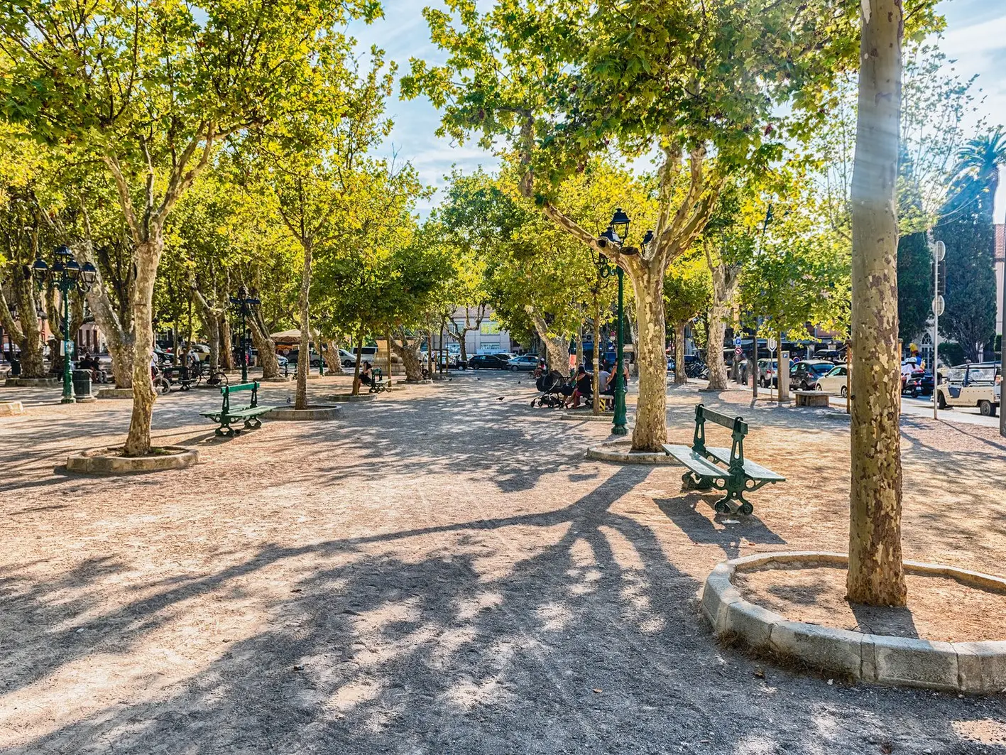 A place des Lices e os seus plátanos, bancos à sombra