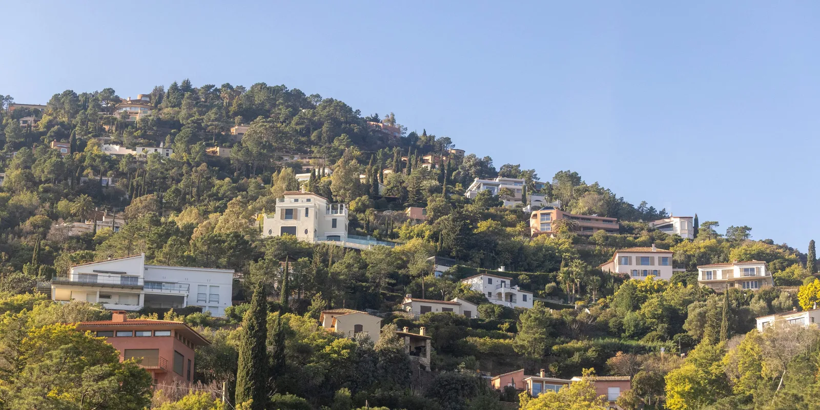 Villas on a hillside among the pines