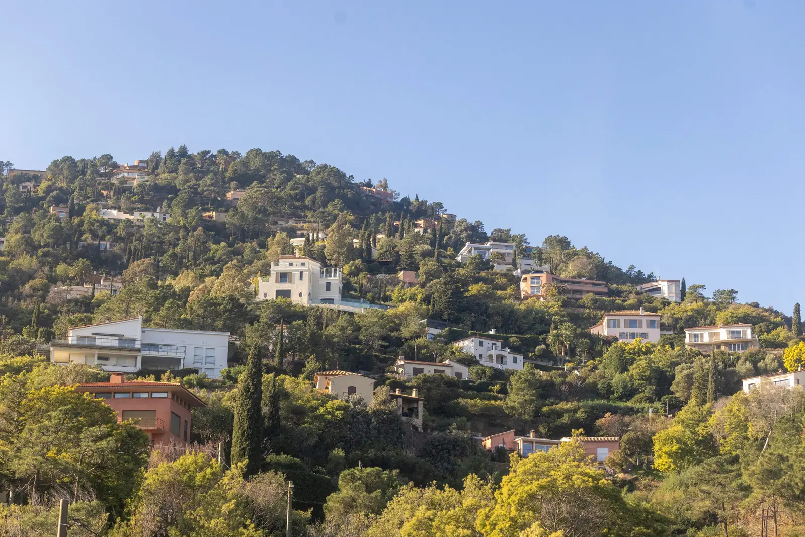 Des villas à flanc de colline, dans les pins