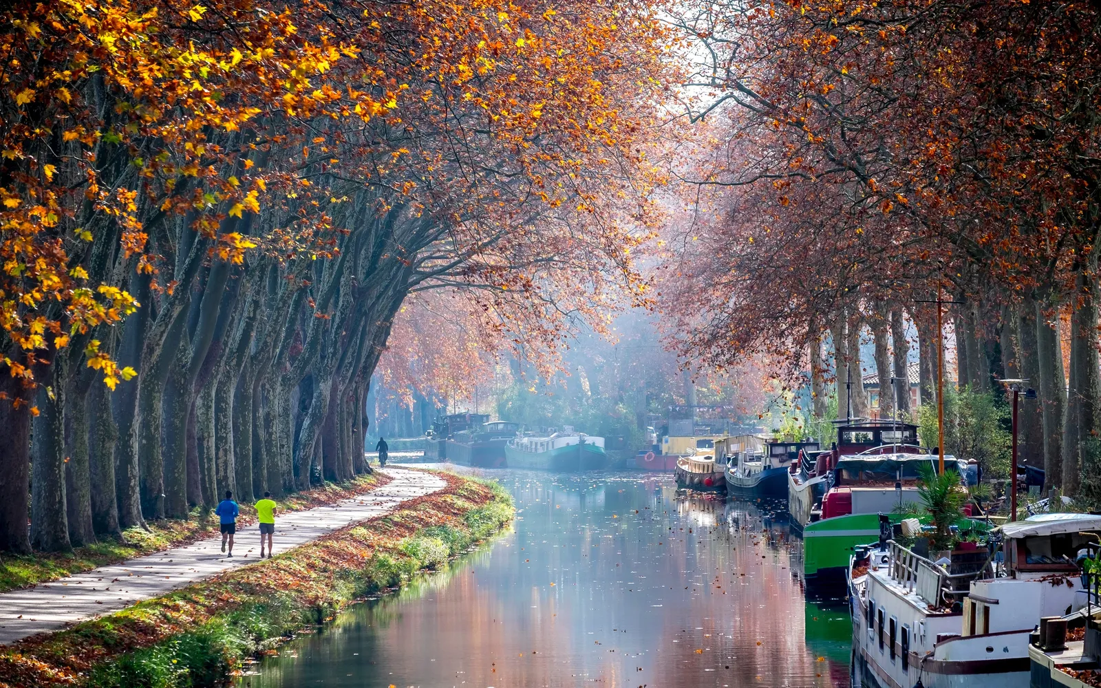 O Canal du Midi em Toulouse, os seus plátanos no outono e as suas barcaças