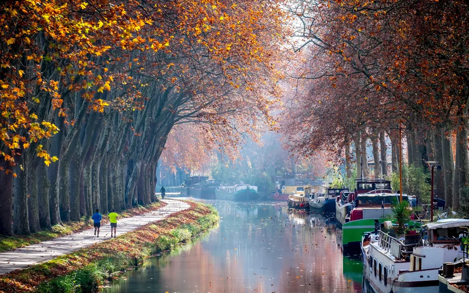 Le canal du Midi à Toulouse, ses platanes en automne et ses péniches