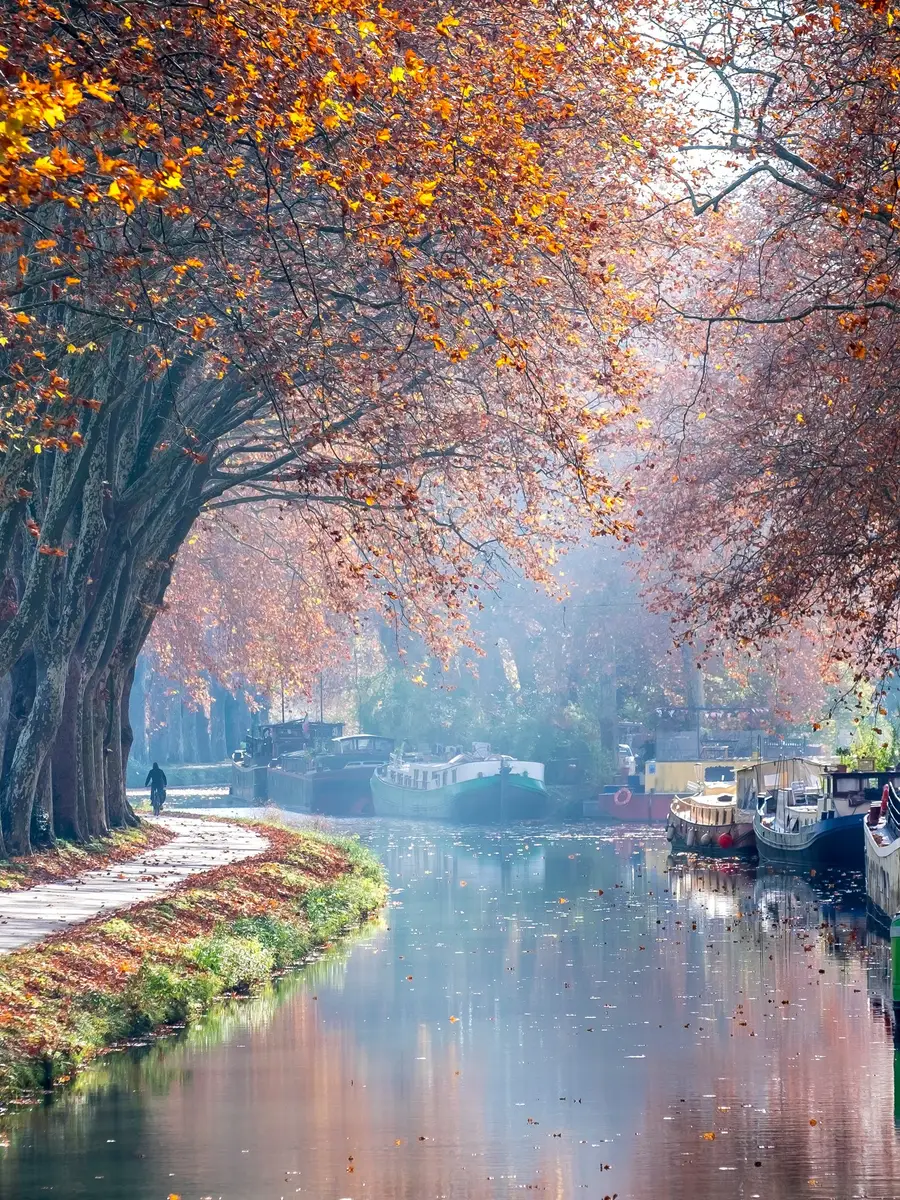 Le canal du Midi à Toulouse, ses platanes en automne et ses péniches