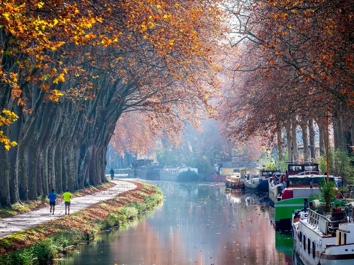 O Canal du Midi em Toulouse, os seus plátanos no outono e as suas barcaças