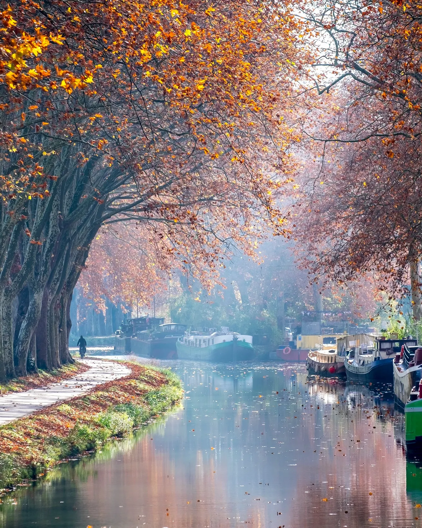 Le canal du Midi à Toulouse, ses platanes en automne et ses péniches