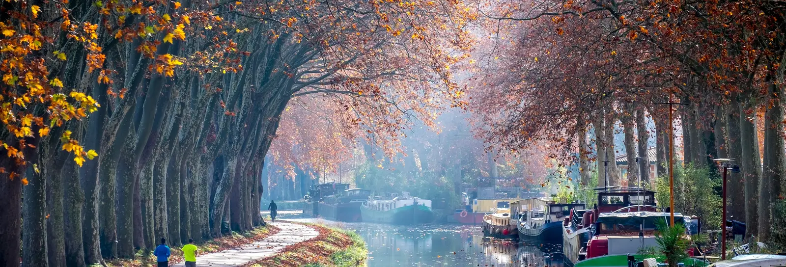 Le canal du Midi à Toulouse, ses platanes en automne et ses péniches